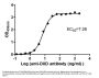 DXD Monoclonal Antibody, HRP conjugated