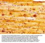 ALDOA Antibody