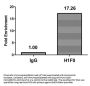 H1F0 (Ab-101) Antibody
