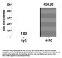 H1F0 (Ab-81) Antibody