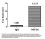 Di-methyl-H3F3A (K79) Antibody