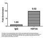 H3F3A (Ab-79) Antibody