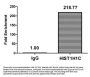 2-hydroxyisobutyryl-HIST1H1C (K109) Antibody