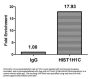 HIST1H1C (Ab-164) Antibody