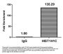 Di-methyl-HIST1H1C (K45) Antibody