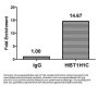 Acetyl-HIST1H1C (K84) Antibody