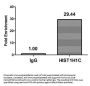 Mono-methyl-HIST1H1C (K118) Antibody