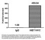 Acetyl-HIST1H1C (K16) Antibody