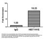 HIST1H1E (Ab-145) Antibody