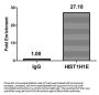 Di-methyl-HIST1H1E (K16) Antibody