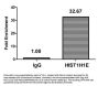 Acetyl-HIST1H1E (K63) Antibody