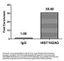 Mono-methyl-HIST1H2AG (K9) Antibody