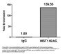HIST1H2AG (Ab-13) Antibody