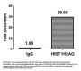 HIST1H2AG (Ab-119) Antibody