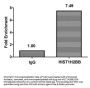 HIST1H2BB (Ab-16) Antibody