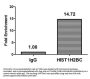 HIST1H2BC (Ab-108) Antibody