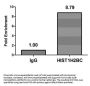 HIST1H2BC (Ab-120) Antibody