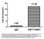 Acetyl-HIST1H2BC (K85) Antibody