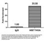 β-hydroxybutyryl-HIST1H3A (K4) Antibody
