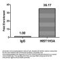 Crotonyl-HIST1H3A (K4) Antibody