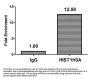 HIST1H3A (Ab-4) Antibody