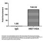 Phospho-HIST1H3A (T6) Antibody