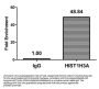 β-hydroxybutyryl-HIST1H3A (K9) Antibody