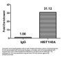 β-hydroxybutyryl-HIST1H3A (K18) Antibody