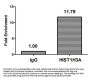 Acetyl-HIST1H3A (T22) Antibody