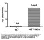 β-hydroxybutyryl-HIST1H3A (K23) Antibody