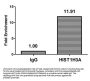 β-hydroxybutyryl-HIST1H3A (K27) Antibody