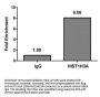 HIST1H3A (Ab-14) Antibody