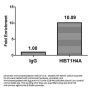 Acetyl-HIST1H4A (K16) Antibody