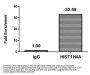 Mono-methyl-HIST1H4A (K5) Antibody