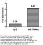 HIST1H4A (Ab-5) Antibody