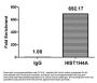 Propionyl-HIST1H4A (K5) Antibody