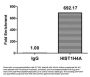 Propionyl-HIST1H4A (K5) Antibody