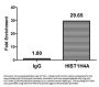 Propionyl-HIST1H4A (K16) Antibody