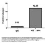 HIST1H4A (Ab-3) Antibody