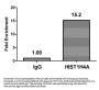 Acetyl-HIST1H4A (K8) Antibody