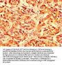 LETM1 Antibody