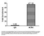 MCM3 Antibody