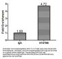 STAT5B Antibody