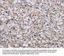 Rabbit anti-human MAPRE3 polyclonal antibody