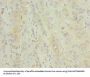 GC Antibody
