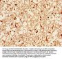 APOE Antibody