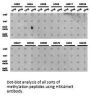 Histone H3K4me2 Antibody