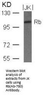 RB1 (Ab-780) Antibody