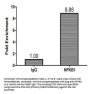 NFKB1 Antibody