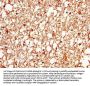 AQP4 Antibody